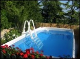 portable beautiful pool in the shadow of tree